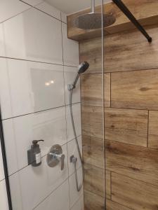 ジークブルクにあるAmaleo Apartments Siegburgの木製の壁がある浴室のシャワー +16枚の写真