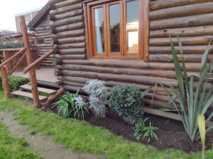 a log cabin with a window and some plants at La cabaña in Sánchez