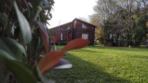 a log cabin in a yard with a house at La cabaña in Sánchez +3 photos