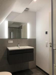 ein Badezimmer mit Waschbecken und Spiegel in der Unterkunft Monteurwohnungen bei Rothenburg odT in Rothenburg ob der Tauber