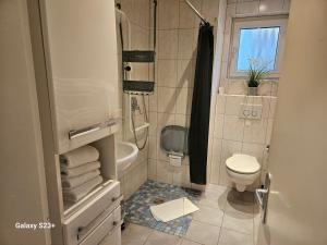 ein kleines Badezimmer mit Toilette und Dusche in der Unterkunft Monteurwohnungen bei Rothenburg odT in Rothenburg ob der Tauber