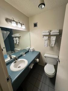 a bathroom with a sink and a toilet and a mirror at Hot Springs Hotel & Spa in Thermopolis