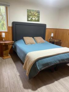 a bedroom with a blue bed with two pillows on it at Aldea Molco Arrayan in Villarrica +15 photos