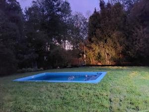 a blue pool in the middle of a yard at Aldea Molco Arrayan in Villarrica