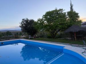 a blue swimming pool with a table and trees at Cabañas Betancourt Rafting in Ciudad Lujan de Cuyo