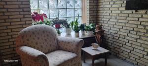 Casaba Suite -260 qm-2 floors- 7 Rooms-Free Private Parking-House with garden في هانوفر: كرسي أمام نافذة مع نباتات في أصص