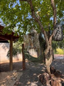 a hammock hanging from a tree at Casa Das Árvores BonitoMS in Bonito