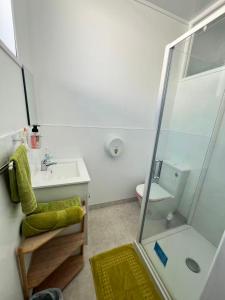 a bathroom with a shower and a sink and a toilet at Bluewater Lodge in Napier