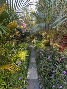 a garden with purple flowers and palm trees at Camino el Valle de Antón km7 in San Carlos
