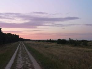 Naturlandskabet i nærheden af feriehuset