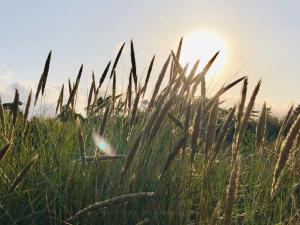Naturlandskabet i nærheden af feriehuset