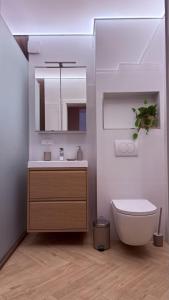 een badkamer met een wastafel, een toilet en een spiegel bij Apartments am Schwarzen Berge in Garbsen