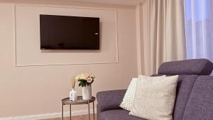 een woonkamer met een blauwe bank en een tv bij Apartments am Schwarzen Berge in Garbsen +2 foto's