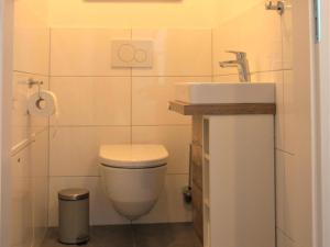 ein Badezimmer mit einer weißen Toilette und einem Waschbecken in der Unterkunft Ski Nature Apartment Lungau Top 6 in Mauterndorf + 30 Fotos