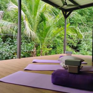 a group of purple yoga mats on a table at Zen Den Nature Retreat on a River in Rincon