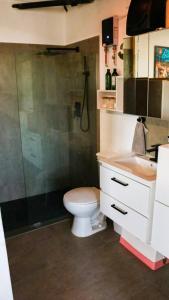 une salle de bain avec toilettes, douche et lavabo dans l'établissement The Alexa tiny apartment city view for 3 guests, à San Juan