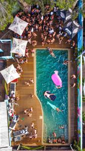 a large group of people swimming in a pool at Port Douglas Backpackers in Port Douglas