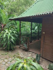 een houten terras met een groen dak in een bos bij hotel san rafael in Santa Marta