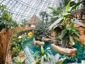 a indoor garden with a swimming pool in a greenhouse at Gites for 2 people at a chateau with a garden in Palluau-sur-Indre