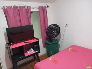 a bedroom with a pink bed and a fan at Quarto para cop 30 in Ananindeua