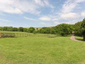 a large green field with a fence and trees at Ingleby Barn - 27946 in Battersby