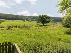 a field of green grass with a fence and a dirt road at Ingleby Barn - 27946 in Battersby