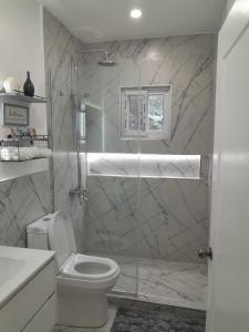 a bathroom with a toilet and a glass shower at Hartland Estate Richmond Priory in Priory