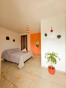 a bedroom with a bed and a potted plant at Habitaciones Casa Bule in Oaxaca City