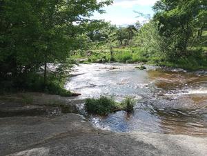 a stream of water with grass in the middle at Casa Cali in Tanti Nuevo