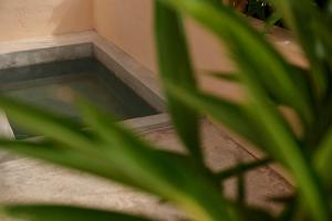 Fotografie z fotogalerie ubytování ZunZún v destinaci Puerto Escondido