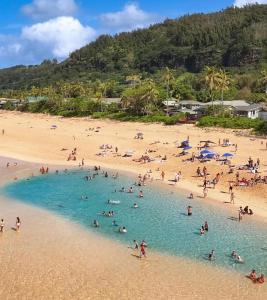 a group of people in the water at a beach at Oceanfront Pipeline Miracle in Pupukea