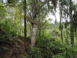 een teken op een boom in het midden van een bos bij Beaconstone - off grid retreat in Charleston +33 foto's