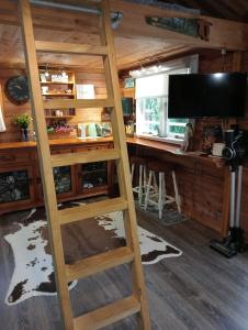 eine Leiter in einem Zimmer mit einem Fernseher und einem Schreibtisch in der Unterkunft Tree House 4 Two in Rotorua