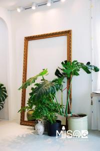 a mirror in a room with plants in front of it at Chloe's Room 