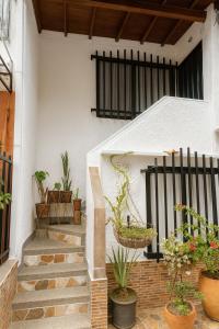 eine Veranda mit Topfpflanzen auf der Treppe in der Unterkunft Casa Bosques in Pilarica - Family and cozy in Medellín + 26 Fotos