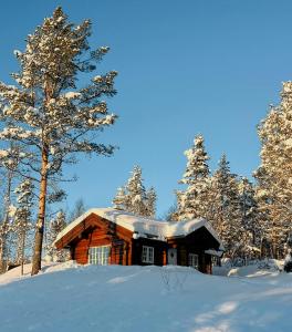 Το Newly Built Log Cabin Near Hardangervidda τον χειμώνα