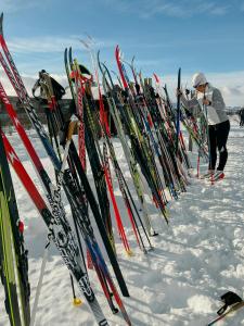 Σκι σε αυτή η παραθεριστική κατοικία ή εκεί κοντά +22 φωτογραφίες