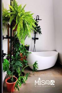 Zahrada ubytování Celine's Loft