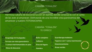 a green leaf with descriptions of the different parts of a plant at Cabañas Hogar Bambu Cuetzalan in Cuetzalán del Progreso +8 photos
