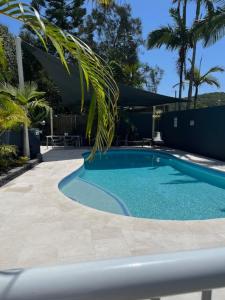 a swimming pool with a palm tree next to a building at Sea Mist Palms in Gold Coast