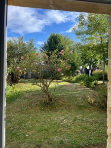 Zahrada ubytování La petite Luzerne 300m de la plage, Cosy et confortable maison rénovée pour 8