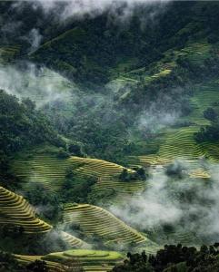 a view of a mountain with clouds in the sky at Sapana Mountain Retreat in Sapa