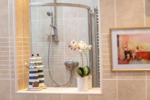 a bathroom with a shower with a plant on a shelf at Livingstone Crescent - No 5 in St. Andrews +22 photos
