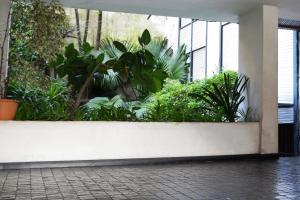 a courtyard with plants in a building at De la calle 45 in La Plata