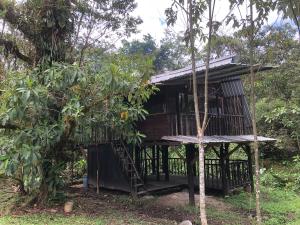 een boomhut in een bos met een ladder bij Finca MamaChakra - Cabañas - Camping in Cumandá +35 foto's