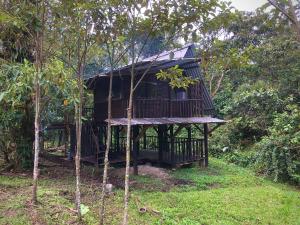 een boomhut midden tussen enkele bomen bij Finca MamaChakra - Cabañas - Camping in Cumandá