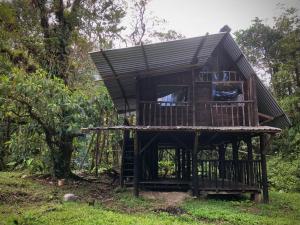 a tree house in the middle of the forest at Finca MamaChakra - Cabañas - Camping in Cumandá
