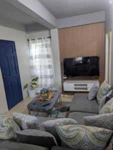 a living room with a couch and a tv at Jacqueline's Court in Mount Pleasant