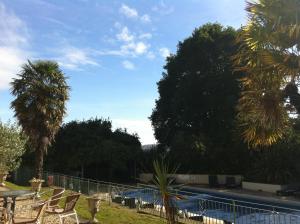 ein Pool mit Stühlen und Palmen in einem Hof in der Unterkunft Fernhill Hotel in Lyme Regis