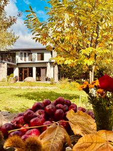 Zahrada ubytování Istisu Valley Spa + 66 fotografií